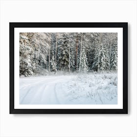 Winter Forest Art Print