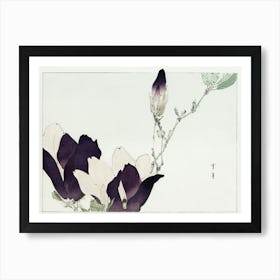 Purple Magnolia Illustration From Bijutsu Sekai (1893 1896), Watanabe Seitei Art Print