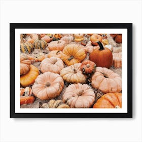 Pumpkin Farm Art Print