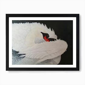 White Swan Art Print