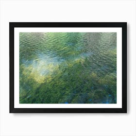 Reflection of green trees in the lake 1 Art Print