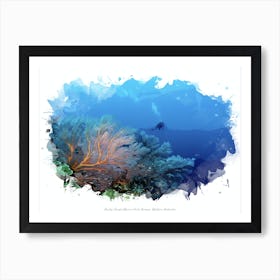 Rowley Shoals Marine Park, Broome, Western Australia Art Print