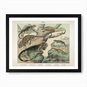 Vintage Schubert 1 Echsen 5 Art Print