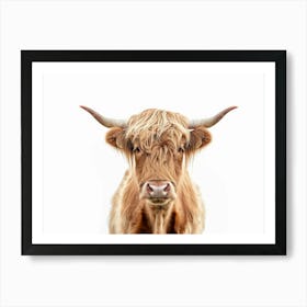 Highland Cow 1 Art Print