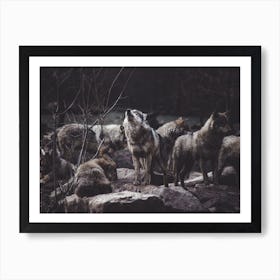 Wolf Pack Art Print