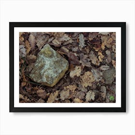 Rock In The Woods 20201231 26ppub Art Print