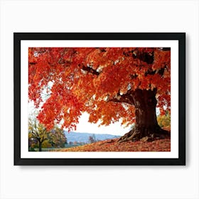 An Autumn Oak Tree Abundantly Lit Branches Spreading Widely Spanning A Slim Sleek Card Leaves Bla Art Print