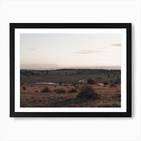 Northern Arizona Meadow Art Print