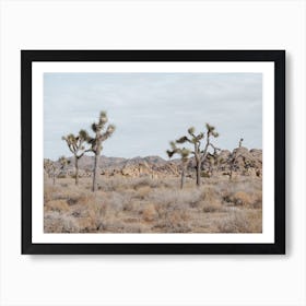 Joshua Tree Desert Art Print