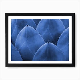 Blue Cactus Close Up Art Print