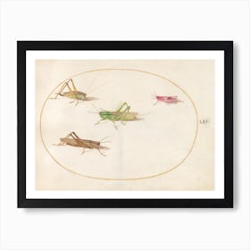 Four Grasshoppers (c. 1575-1580), Joris Hoefnagel Art Print