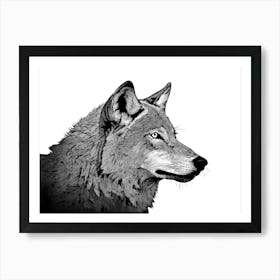 Black & White Wolf Portrait Art Print