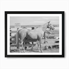 Palomino Mare At Auction Sale, El Dorado, Texas By Russell Lee Art Print