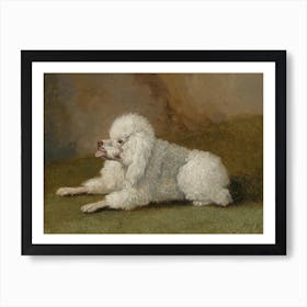 Portrait Of A Poodle, Jakob Philipp Hackert Art Print