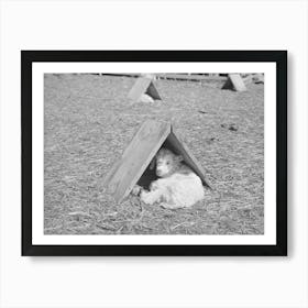 Kid In Individual Shelter, This Shelter Can Be Turned To Protect Him From Cold Wind Or Hot Sun, He Is Tied To Wire Which Is Art Print