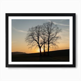 Silhouette of trees at sunset Art Print