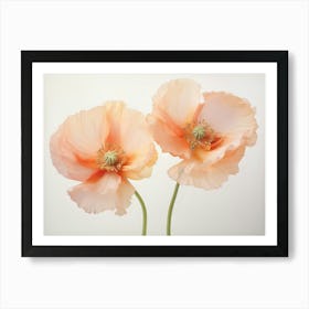 Poppies 1 Art Print