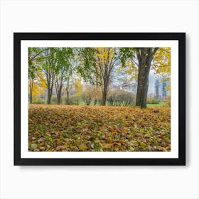 Autumn Leaves In The Park Affiche