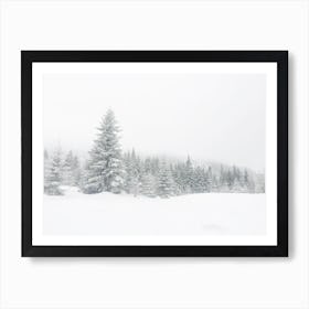 Snow Covered Forest Art Print