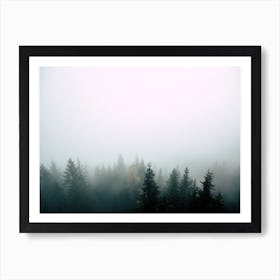 Hazy Fog Covered Woodland Art Print