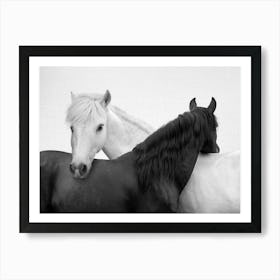 Yin And Yang Horses Art Print