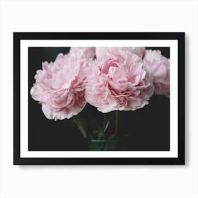 Peonies On Black 3 Art Print