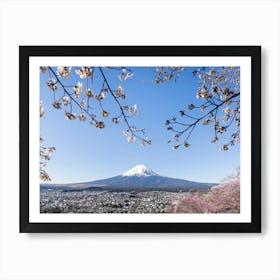 Fantastic View Of Mount Fuji With Cherry Blossoms Art Print