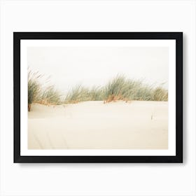 Dune Grass Art Print