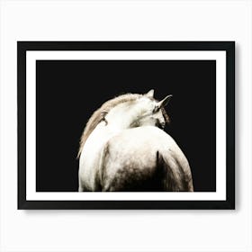 Grey horse in balance - Ardennes Belgian photo print - moody animal photography art Art Print