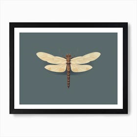  Dragonflyncommon Baskettail Epitheca Blue  Art Print