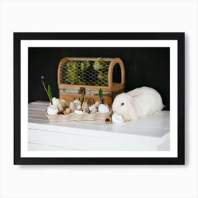 Easter Bunny 6 Art Print