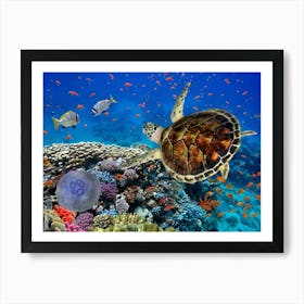 Sea Turtle In The Red Sea Art Print