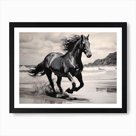 A Horse Oil Painting In Flamenco Beach, Puerto Rico, Landscape 2 Art Print