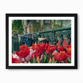 Amsterdam Tulips Art Print