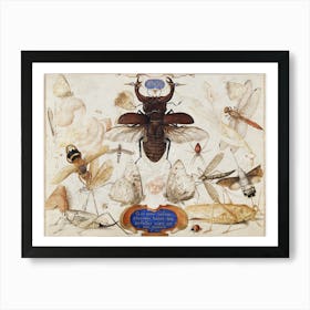 Insects And The Head Of A Wind God (1590–1600), Joris Hoefnagel Art Print