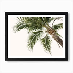 Boho Palm Trees Art Print