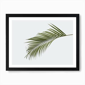 Tropical Palm Leaf Art Print