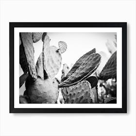 Cactus in Black & White // Ibiza Nature & Travel Photography Art Print
