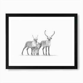 The Caribous Family Art Print