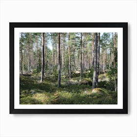 Swedish forrest 40892 Art Print