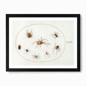 Seven Spiders And An Insect (1575–1580), Joris Hoefnagel Art Print