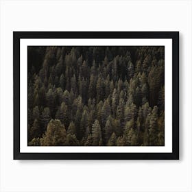 Aerial View Of A Forest Art Print