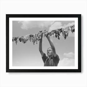 Untitled Photo, Possibly Related To Spanish American Woman Hanging Up Meat To Dry, Chamisal, New Mexico By Art Print