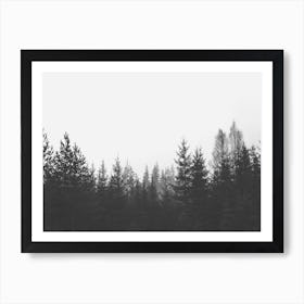 Forest Art Print