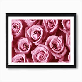 Pink Roses 7 Art Print