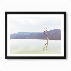 Reflect Art Print