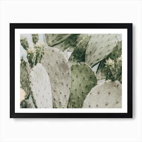 Muted Green Cactus Art Print