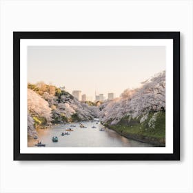 Washington Dc Cherry Blossoms Art Print