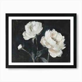 White Peonies 5 Art Print