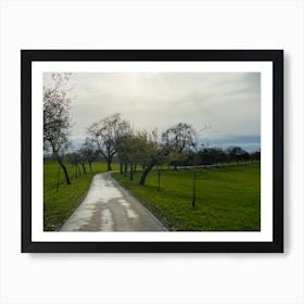 Walk In The Park 4 Art Print